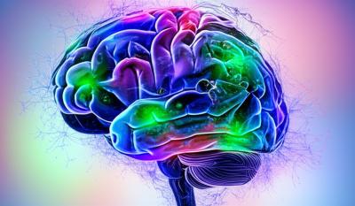 Mommy Brain: Myth or Mental Upgrade? The Neuroscience Truth